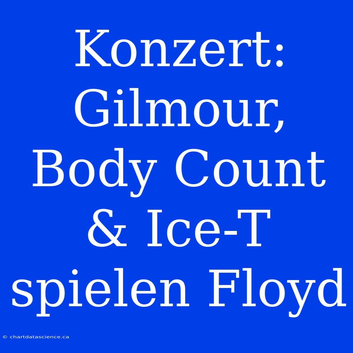 Konzert: Gilmour, Body Count & Ice-T Spielen Floyd