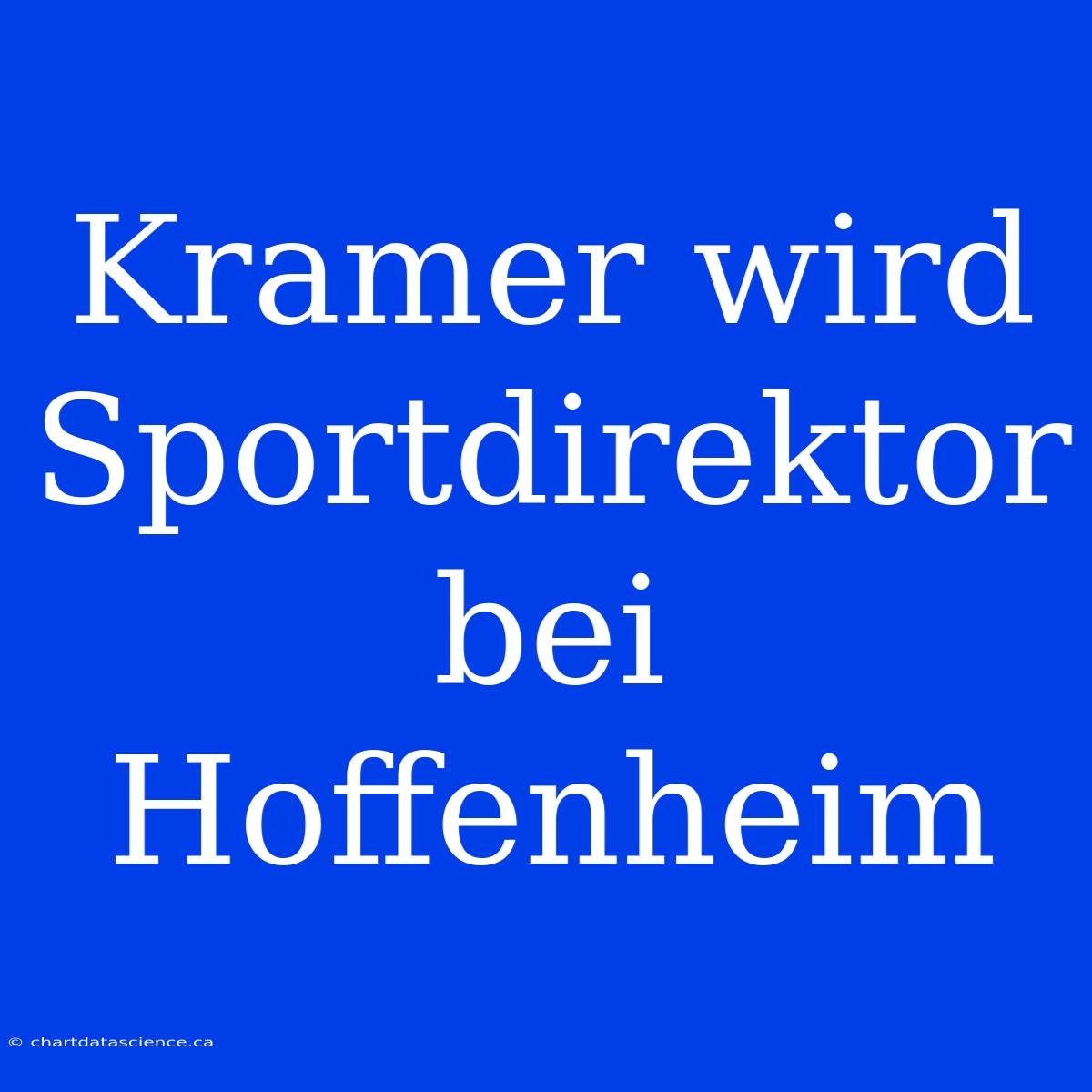 Kramer Wird Sportdirektor Bei Hoffenheim