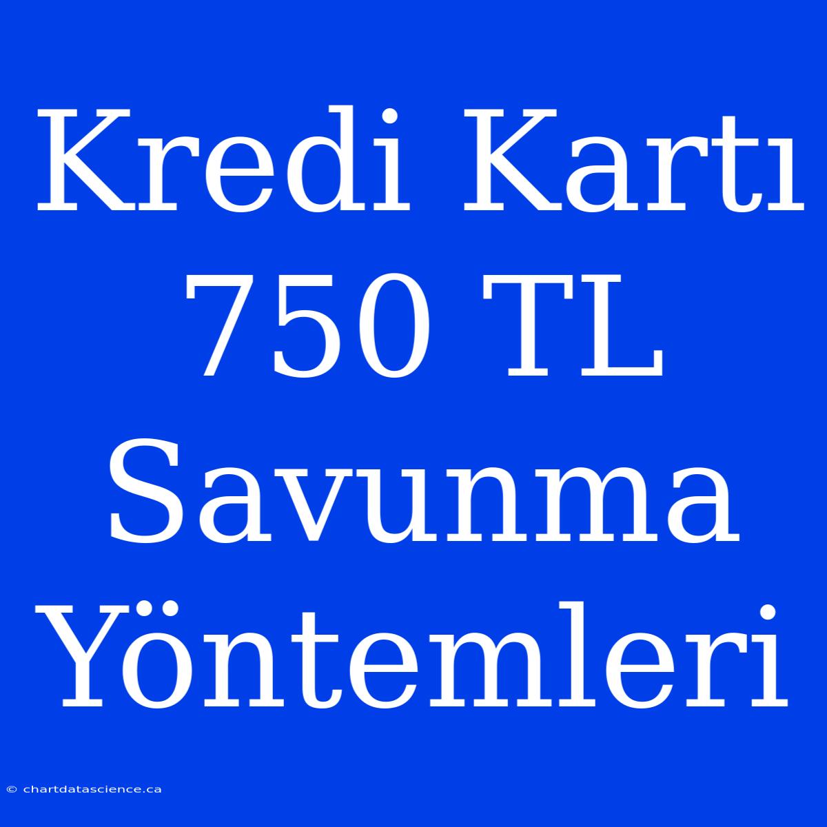 Kredi Kartı 750 TL Savunma Yöntemleri