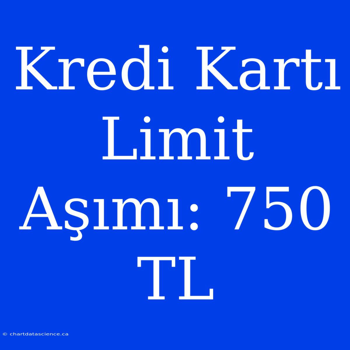 Kredi Kartı Limit Aşımı: 750 TL