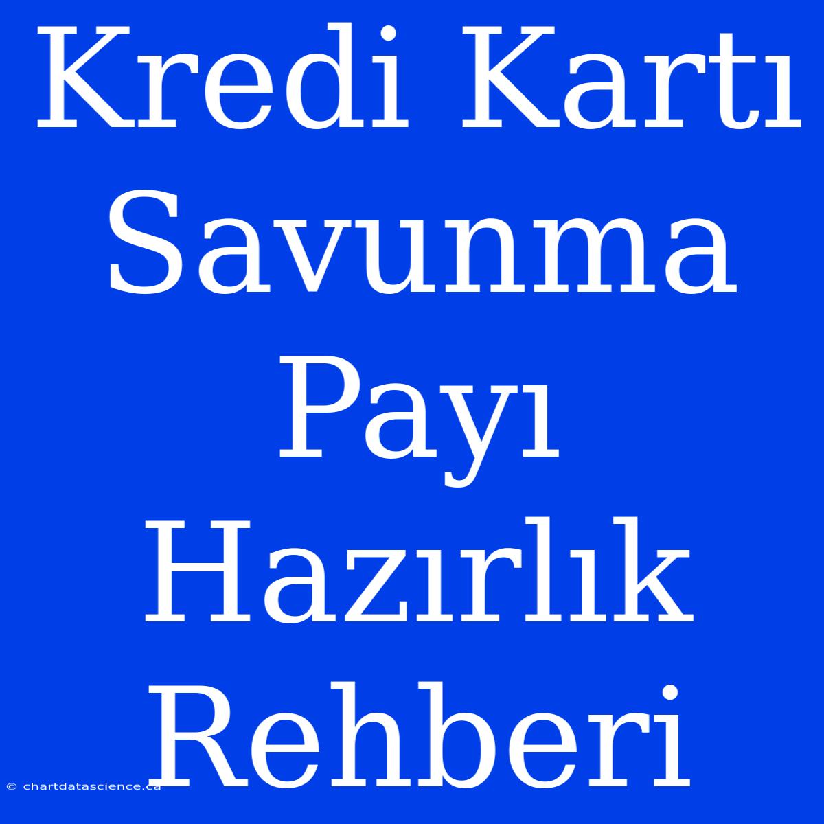 Kredi Kartı Savunma Payı Hazırlık Rehberi