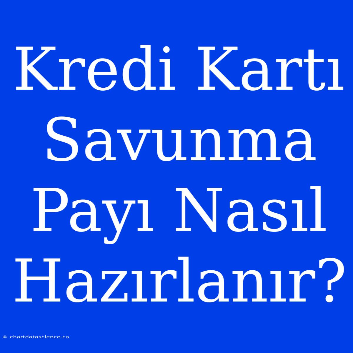 Kredi Kartı Savunma Payı Nasıl Hazırlanır?