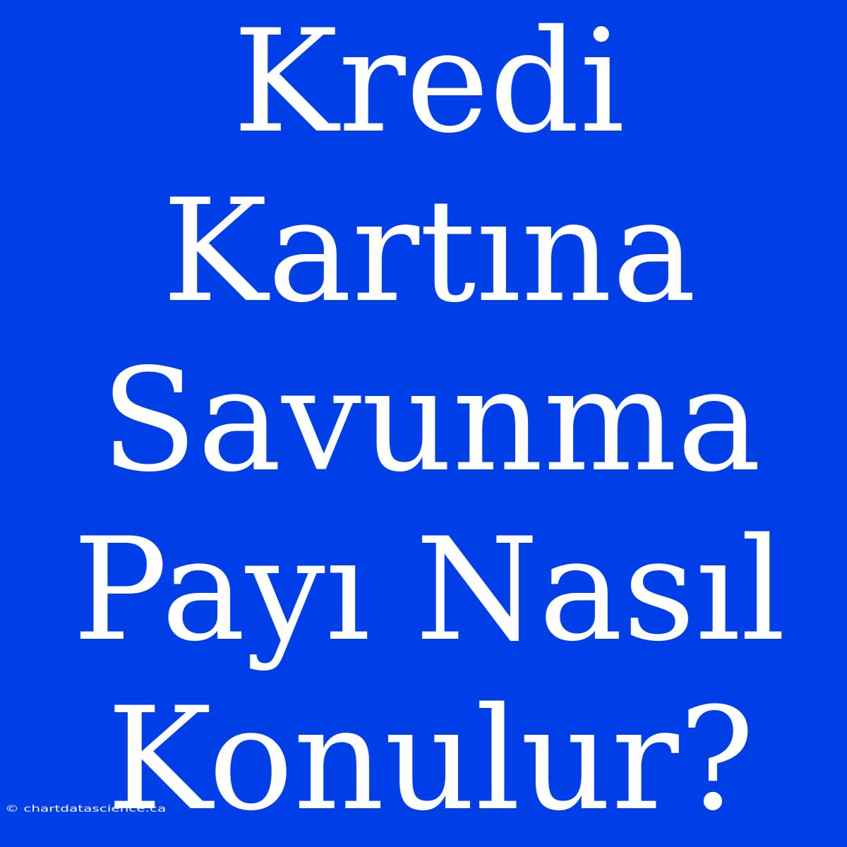 Kredi Kartına Savunma Payı Nasıl Konulur?