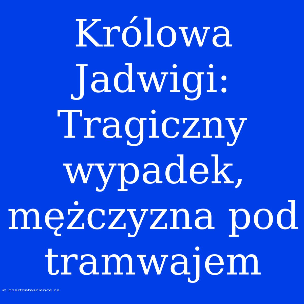 Królowa Jadwigi: Tragiczny Wypadek, Mężczyzna Pod Tramwajem