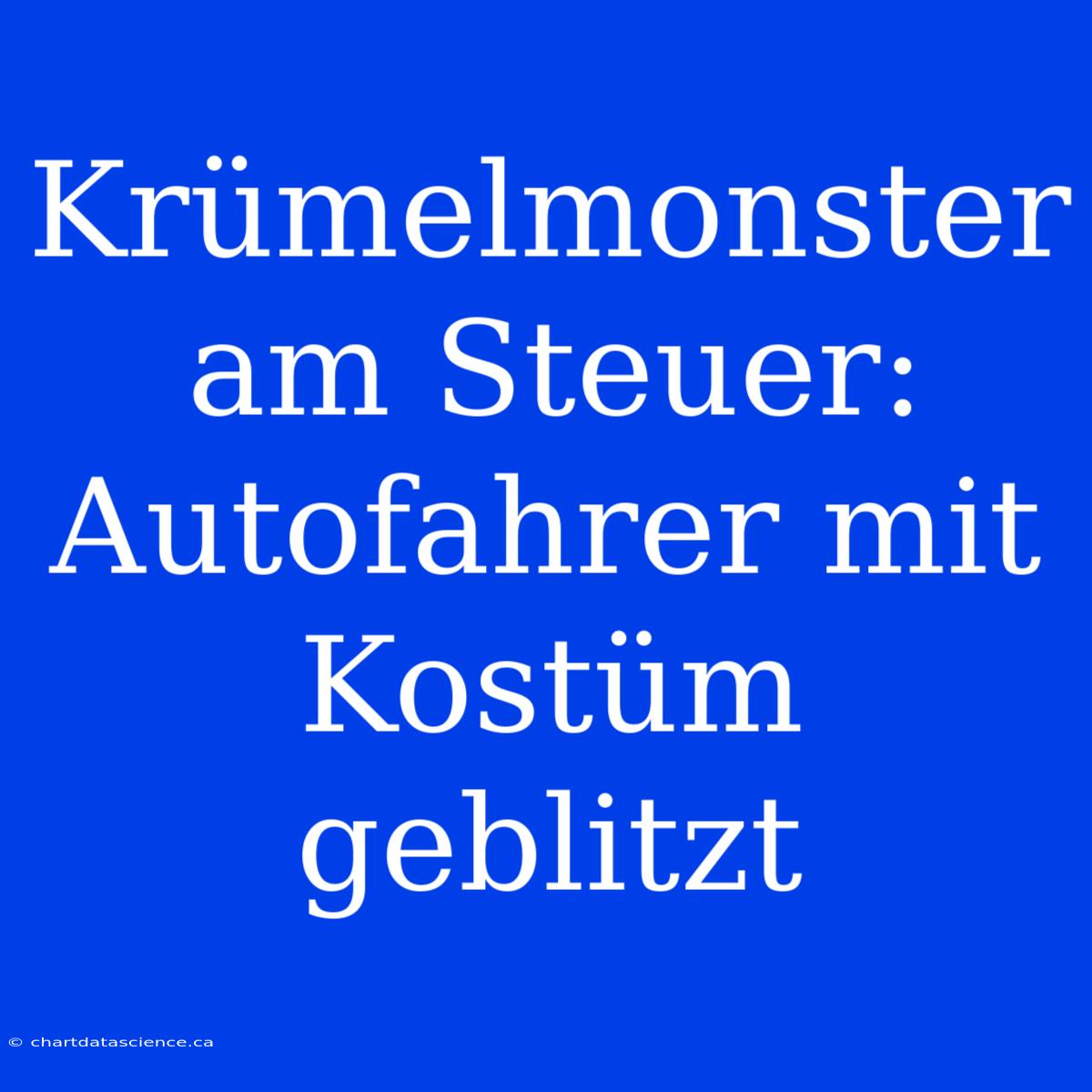 Krümelmonster Am Steuer: Autofahrer Mit Kostüm Geblitzt