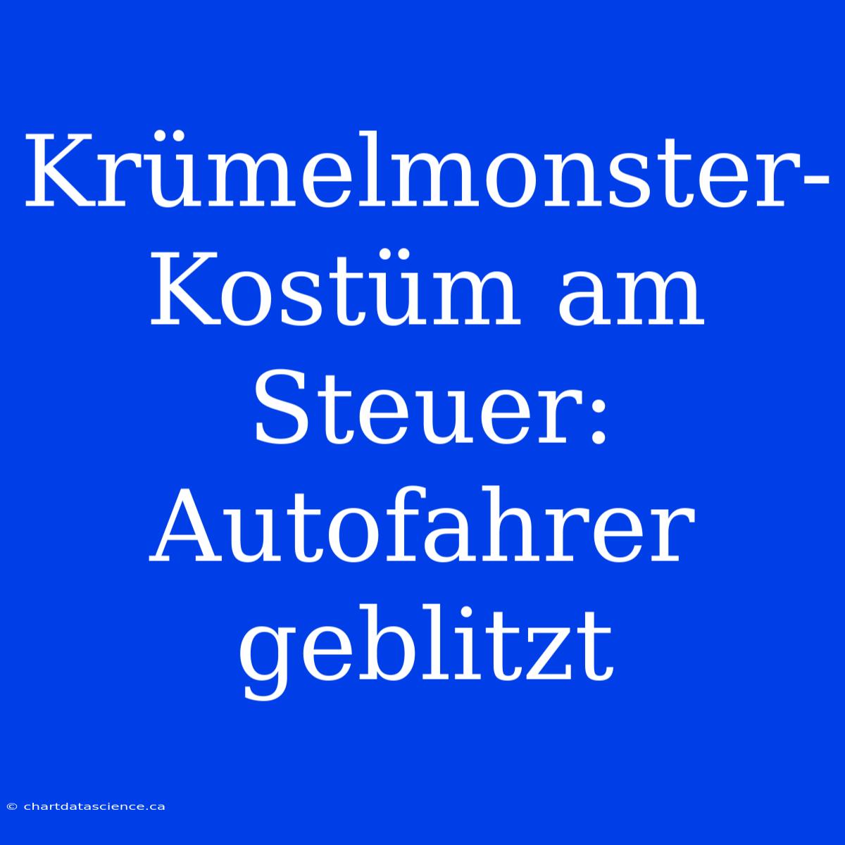 Krümelmonster-Kostüm Am Steuer: Autofahrer Geblitzt