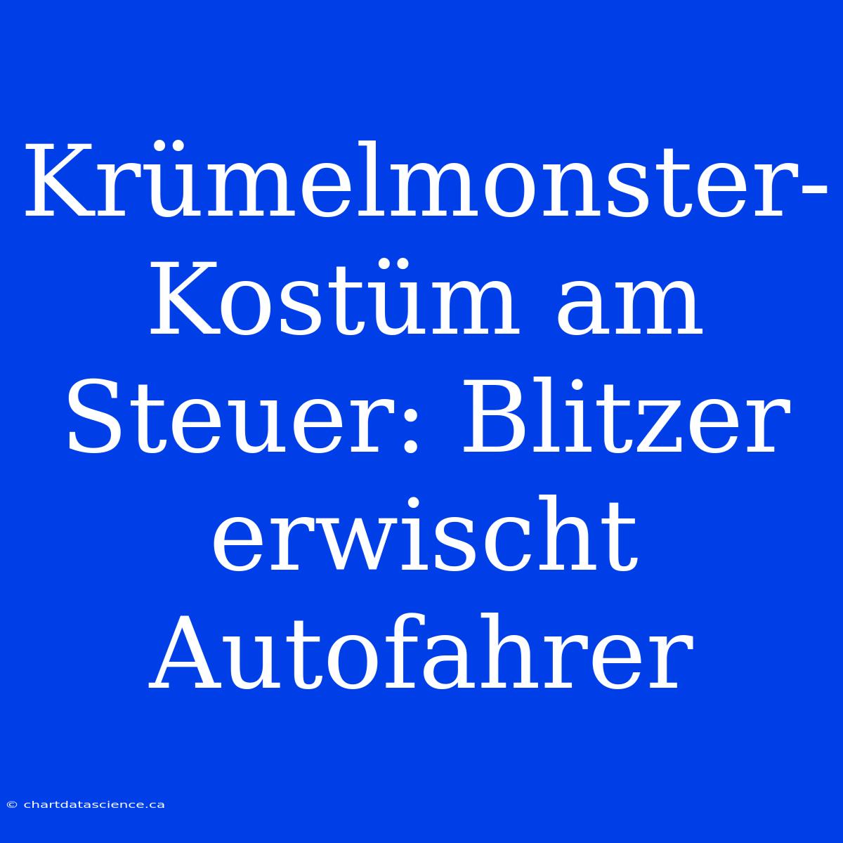 Krümelmonster-Kostüm Am Steuer: Blitzer Erwischt Autofahrer