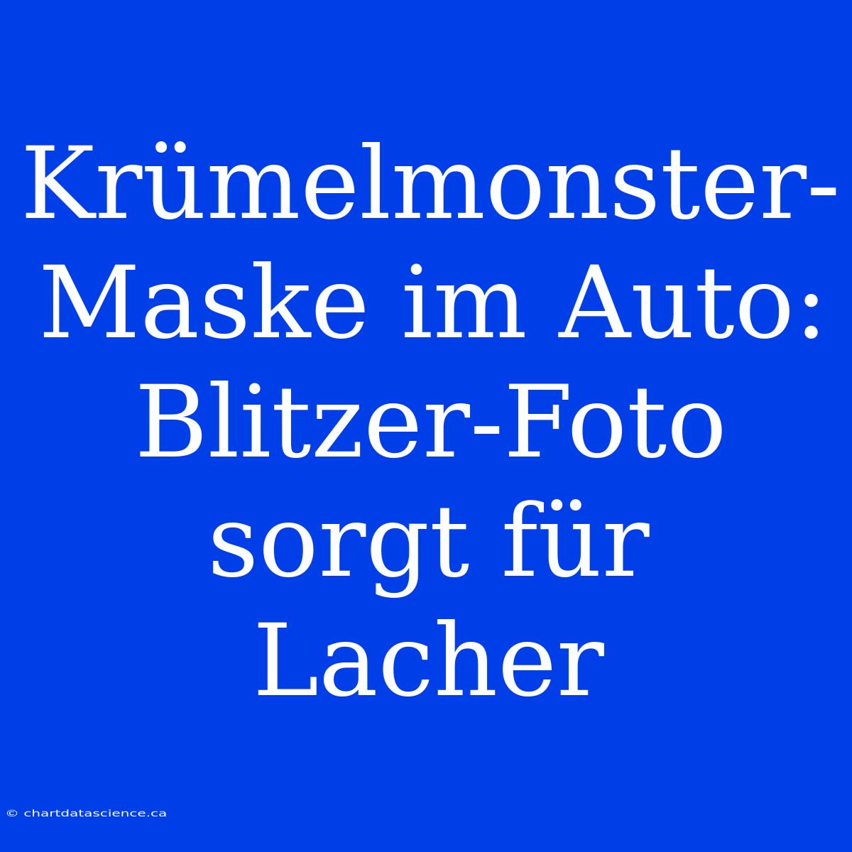 Krümelmonster-Maske Im Auto: Blitzer-Foto Sorgt Für Lacher