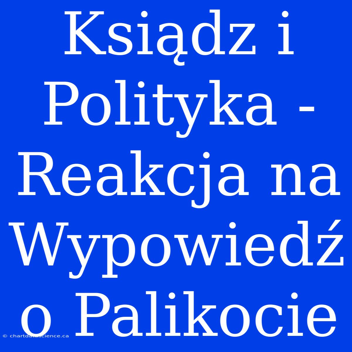 Ksiądz I Polityka - Reakcja Na Wypowiedź O Palikocie