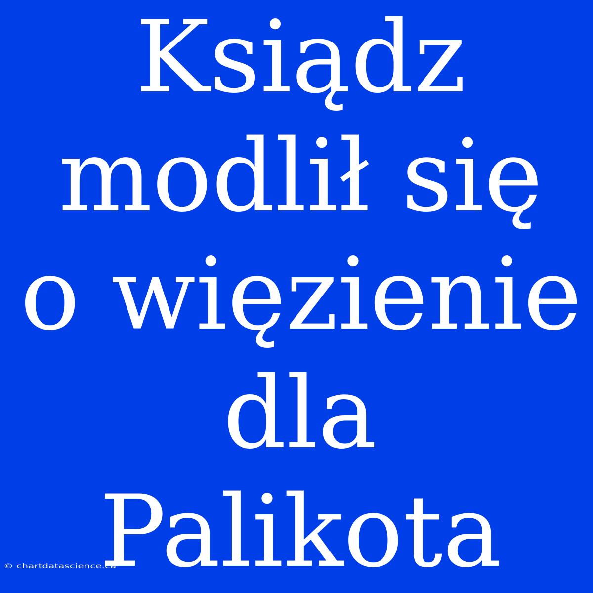 Ksiądz Modlił Się O Więzienie Dla Palikota