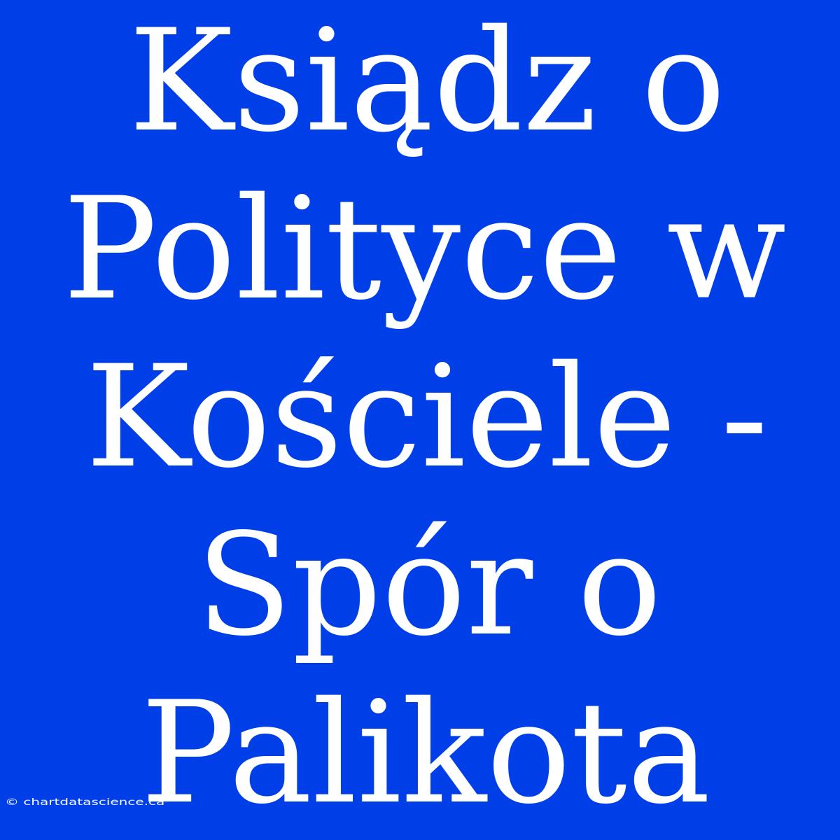 Ksiądz O Polityce W Kościele - Spór O Palikota