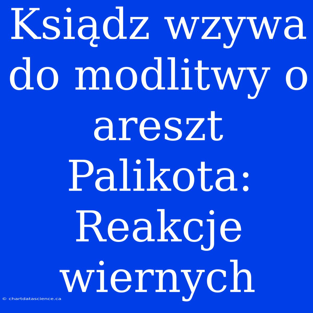 Ksiądz Wzywa Do Modlitwy O Areszt Palikota: Reakcje Wiernych