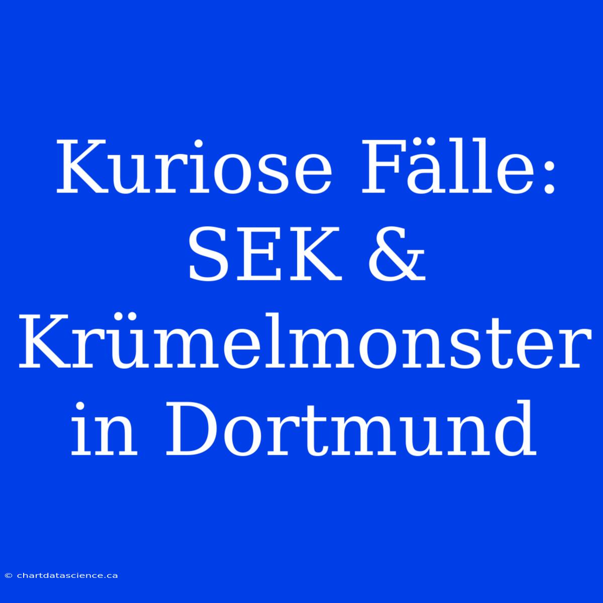 Kuriose Fälle: SEK & Krümelmonster In Dortmund