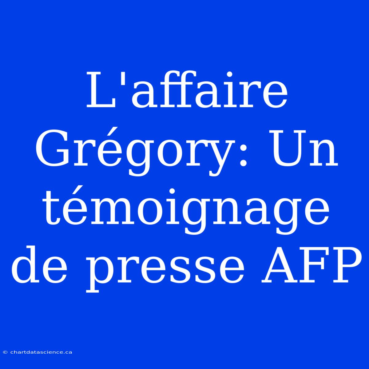 L'affaire Grégory: Un Témoignage De Presse AFP