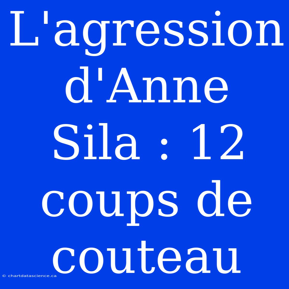 L'agression D'Anne Sila : 12 Coups De Couteau