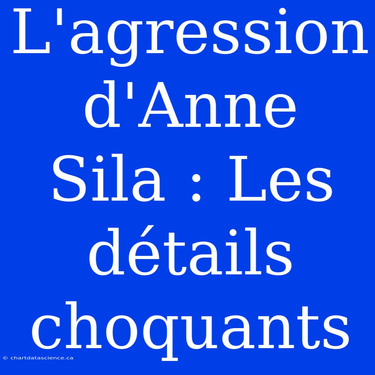 L'agression D'Anne Sila : Les Détails Choquants