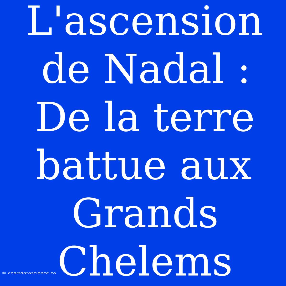 L'ascension De Nadal : De La Terre Battue Aux Grands Chelems