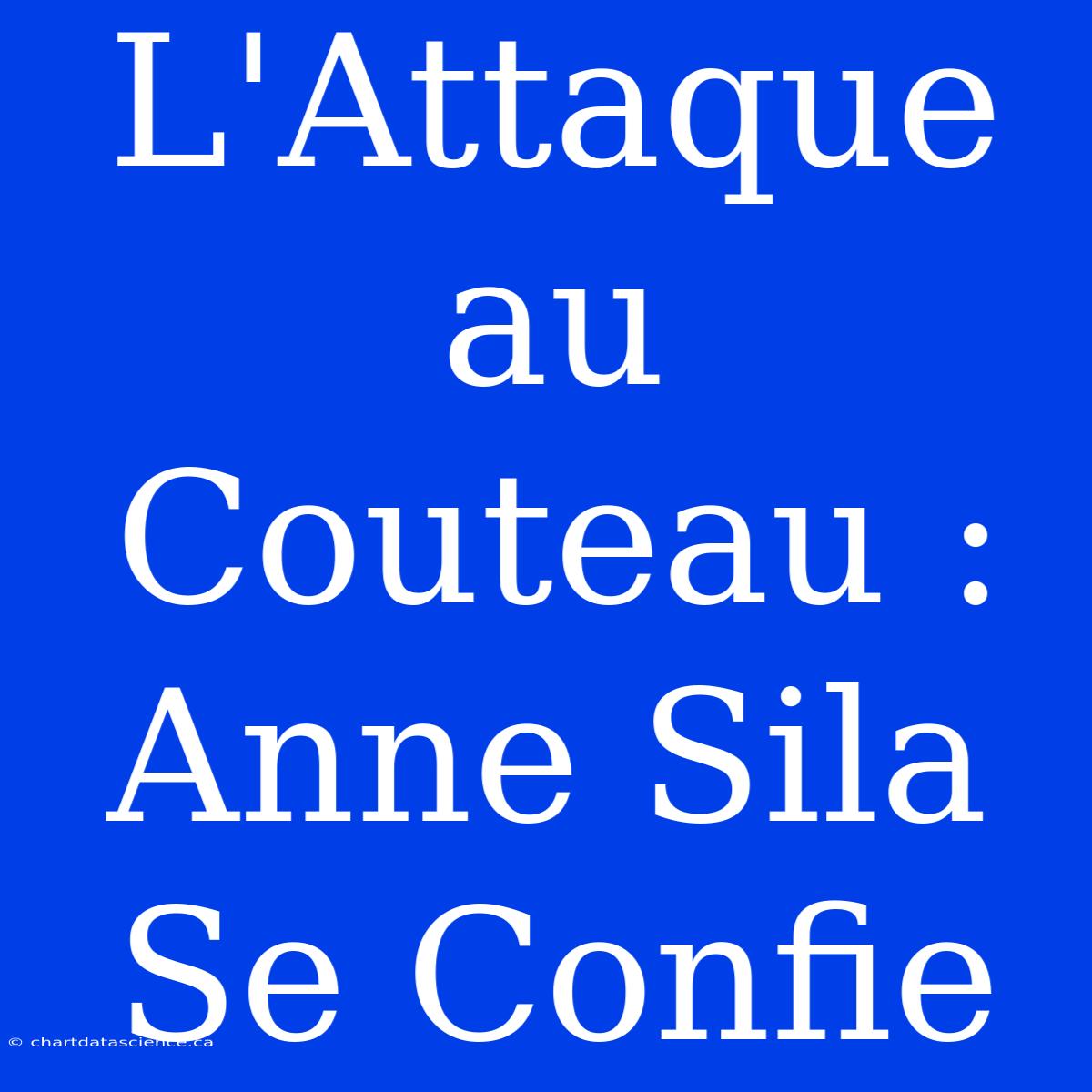 L'Attaque Au Couteau : Anne Sila Se Confie