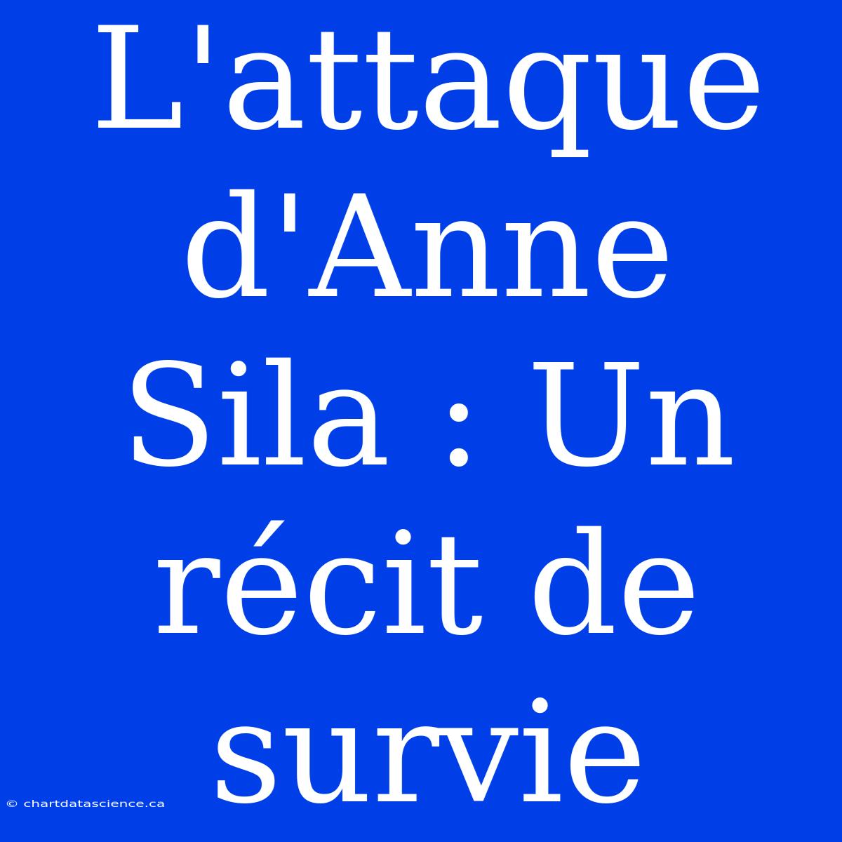 L'attaque D'Anne Sila : Un Récit De Survie