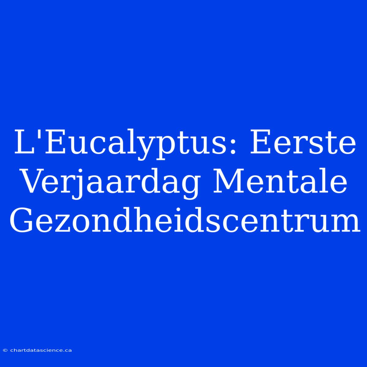 L'Eucalyptus: Eerste Verjaardag Mentale Gezondheidscentrum