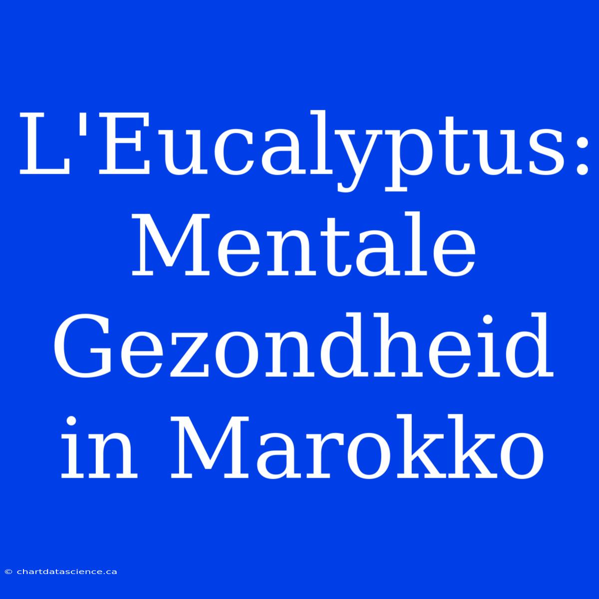 L'Eucalyptus: Mentale Gezondheid In Marokko