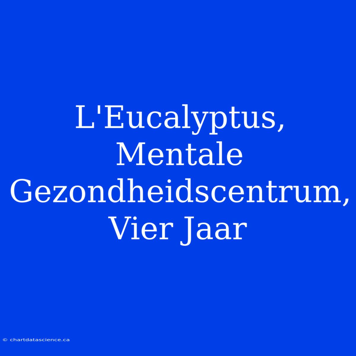 L'Eucalyptus, Mentale Gezondheidscentrum, Vier Jaar