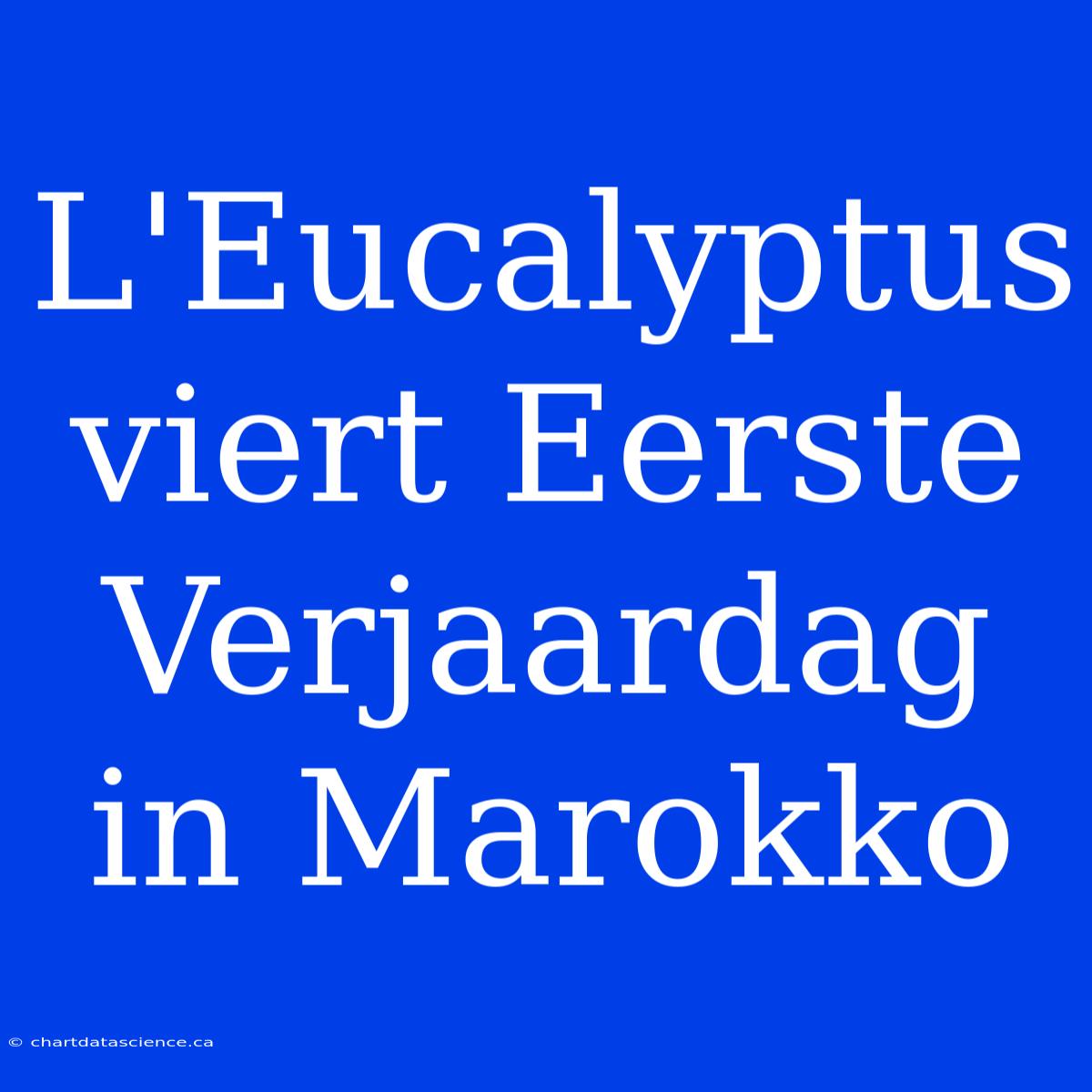 L'Eucalyptus Viert Eerste Verjaardag In Marokko