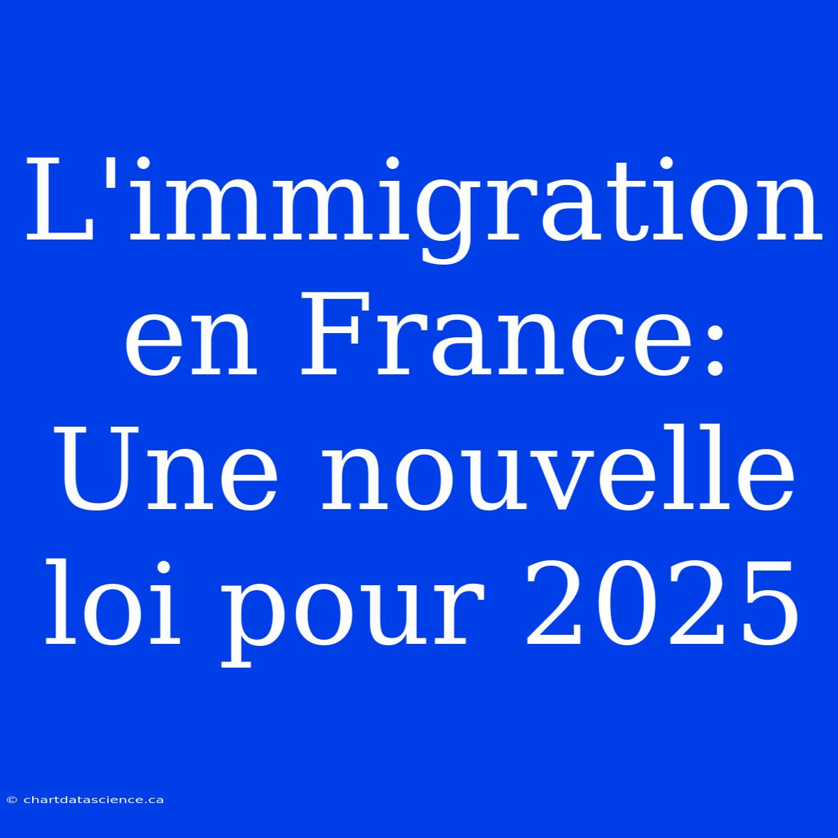 L'immigration En France: Une Nouvelle Loi Pour 2025