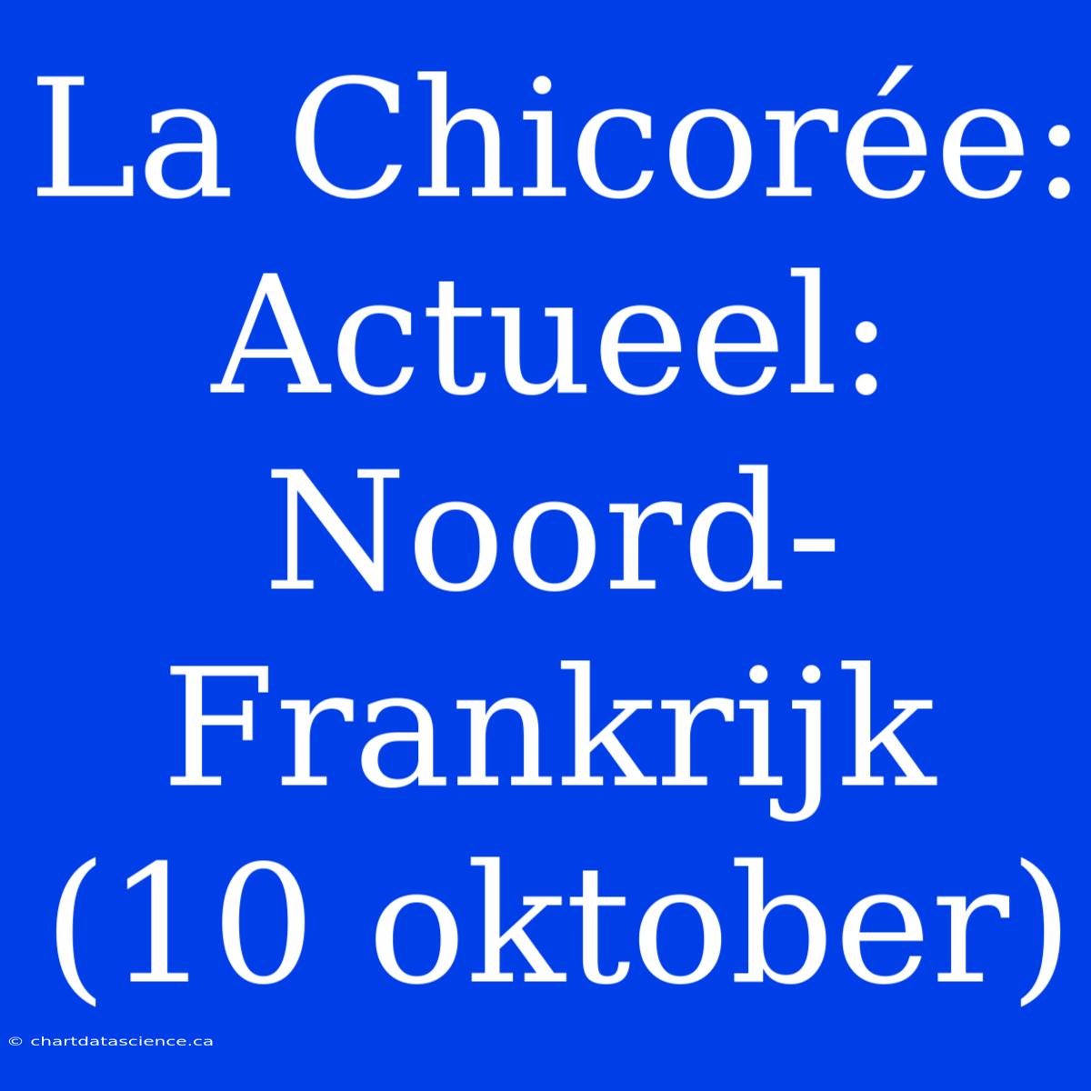 La Chicorée: Actueel: Noord-Frankrijk (10 Oktober)