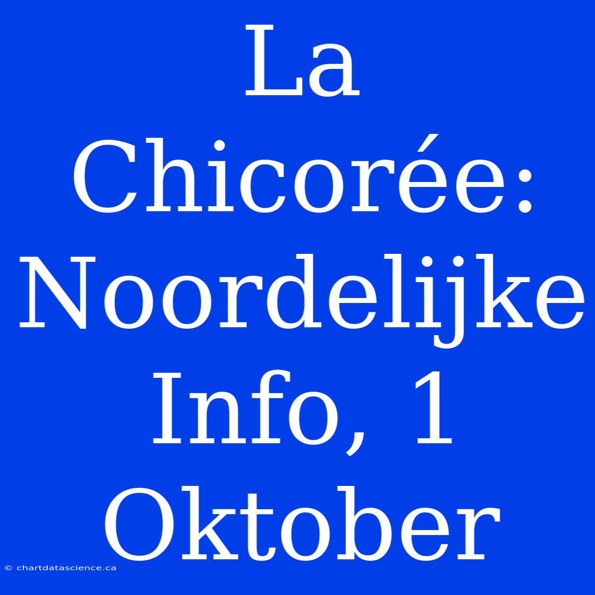 La Chicorée: Noordelijke Info, 1 Oktober