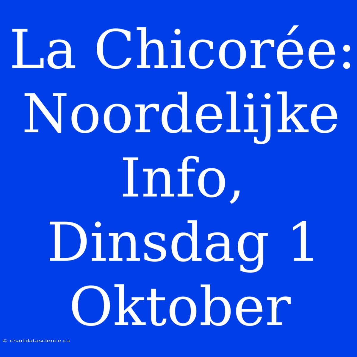 La Chicorée: Noordelijke Info, Dinsdag 1 Oktober