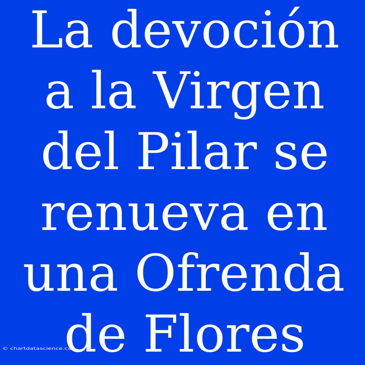 La Devoción A La Virgen Del Pilar Se Renueva En Una Ofrenda De Flores