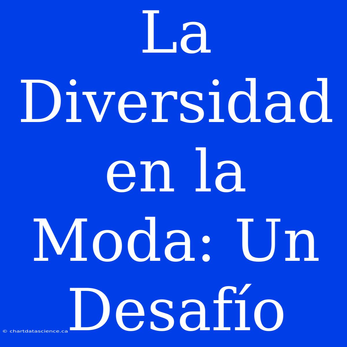 La Diversidad En La Moda: Un Desafío