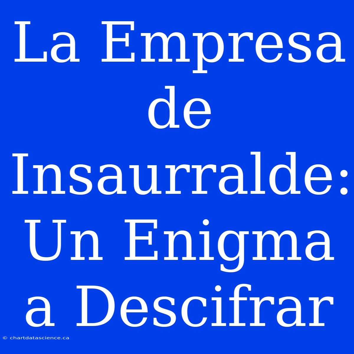 La Empresa De Insaurralde: Un Enigma A Descifrar