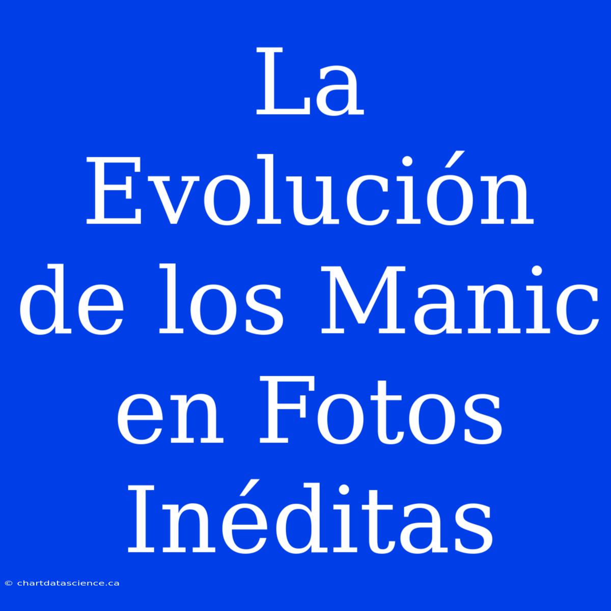 La Evolución De Los Manic En Fotos Inéditas