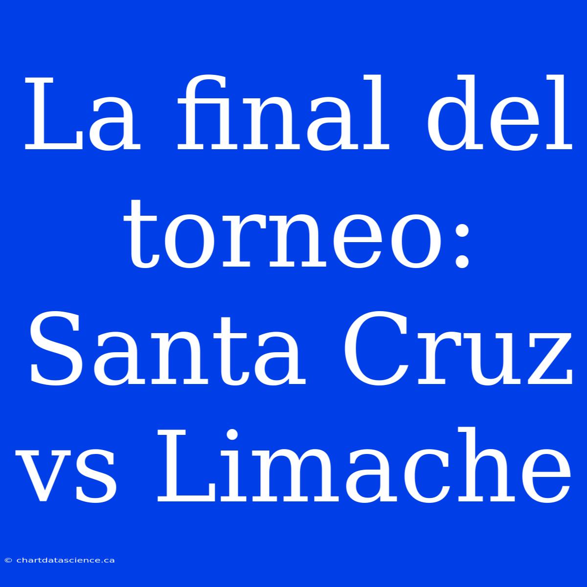 La Final Del Torneo: Santa Cruz Vs Limache