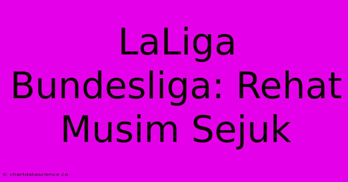 LaLiga Bundesliga: Rehat Musim Sejuk