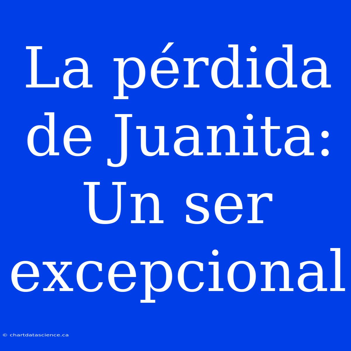 La Pérdida De Juanita: Un Ser Excepcional