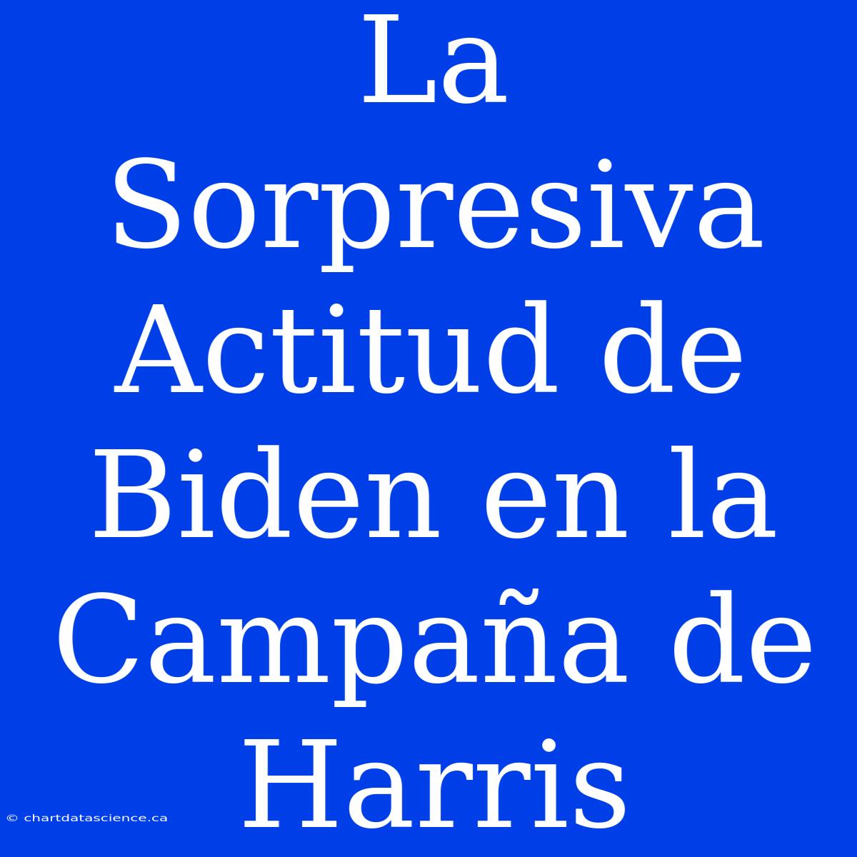 La Sorpresiva Actitud De Biden En La Campaña De Harris