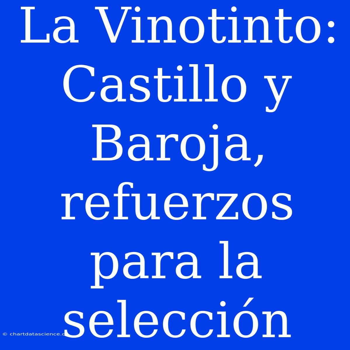 La Vinotinto: Castillo Y Baroja, Refuerzos Para La Selección