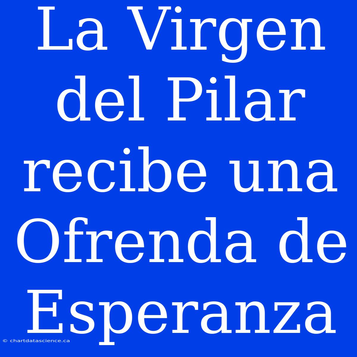 La Virgen Del Pilar Recibe Una Ofrenda De Esperanza