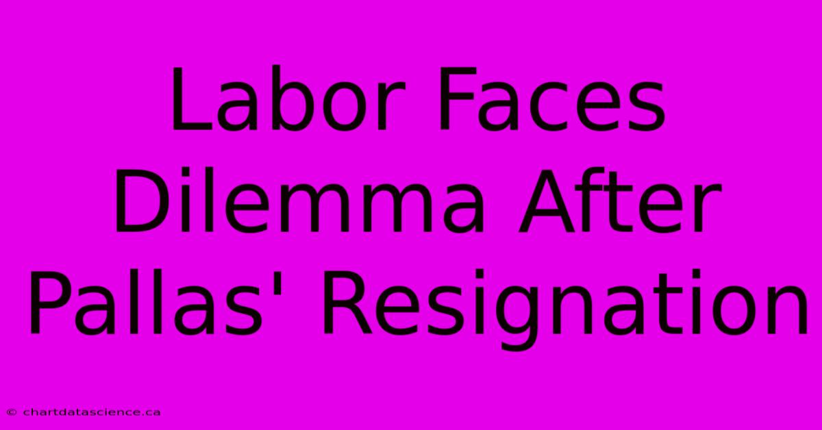 Labor Faces Dilemma After Pallas' Resignation