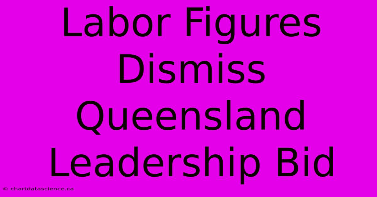 Labor Figures Dismiss Queensland Leadership Bid