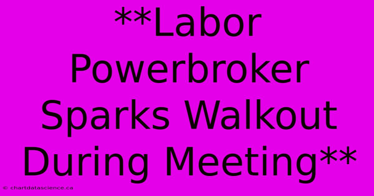 **Labor Powerbroker Sparks Walkout During Meeting** 