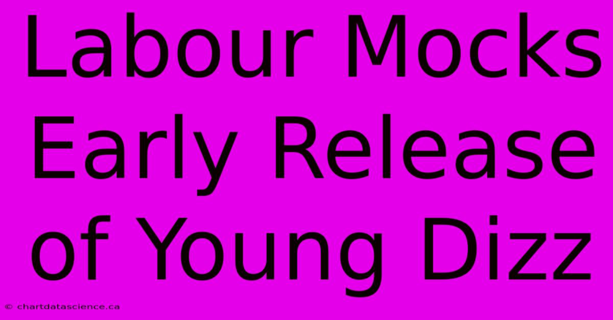 Labour Mocks Early Release Of Young Dizz