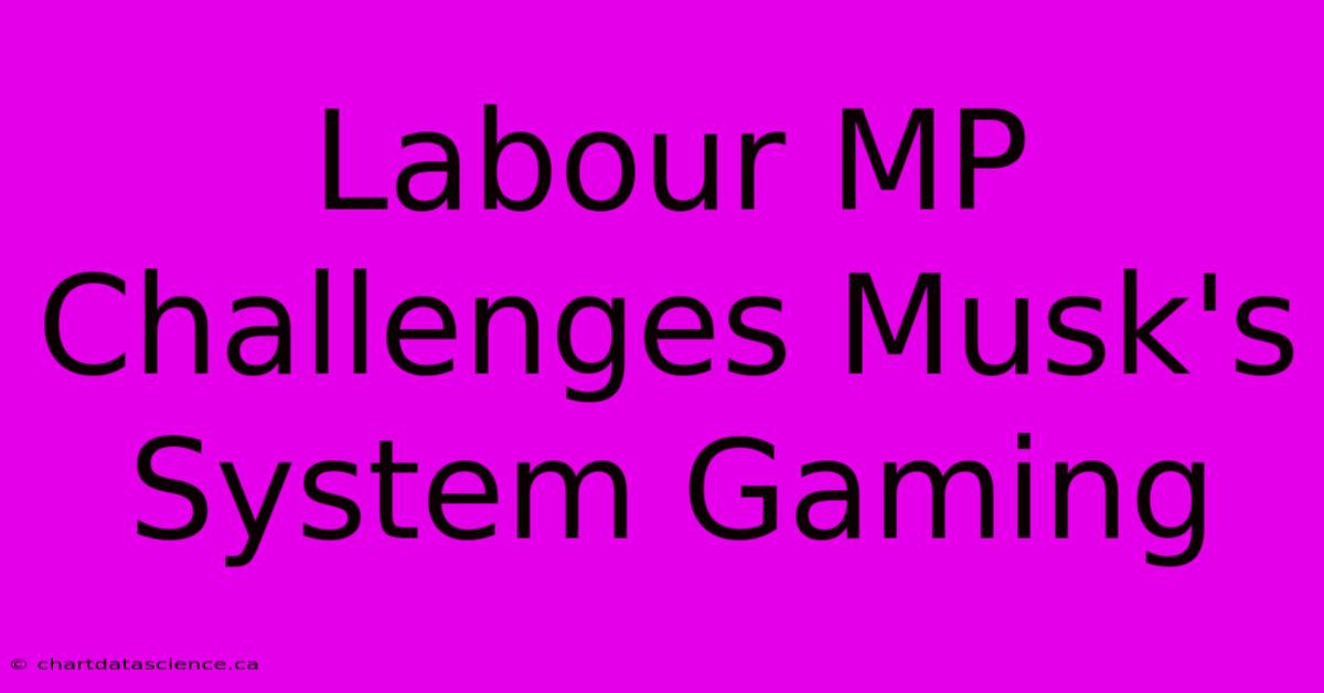 Labour MP Challenges Musk's System Gaming