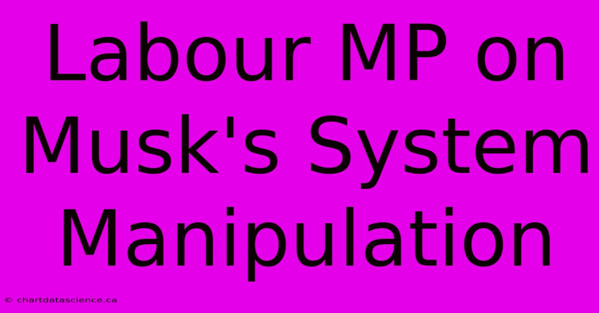 Labour MP On Musk's System Manipulation