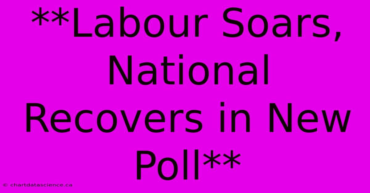 **Labour Soars, National Recovers In New Poll** 