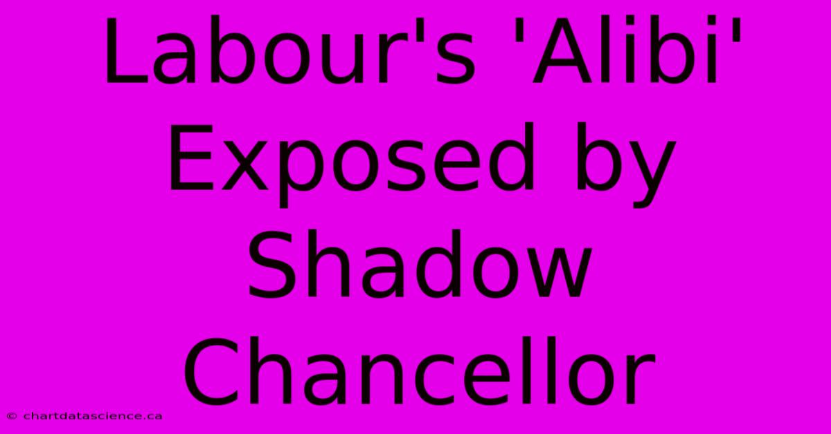 Labour's 'Alibi' Exposed By Shadow Chancellor