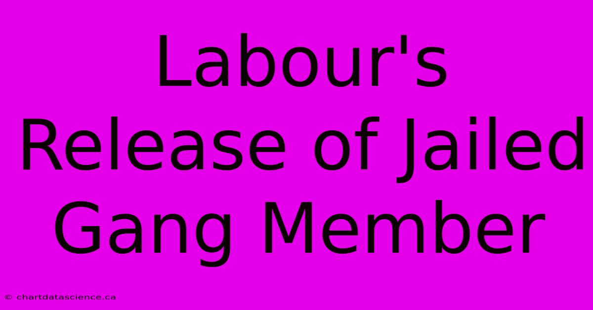 Labour's Release Of Jailed Gang Member 